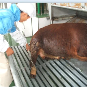 Stainless steel meat hooks for slaughterhouses