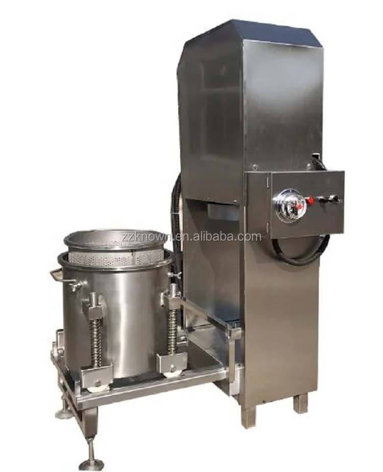 2022 Commercial Industrial Screw Hydraulic Fruit Vegetable Press