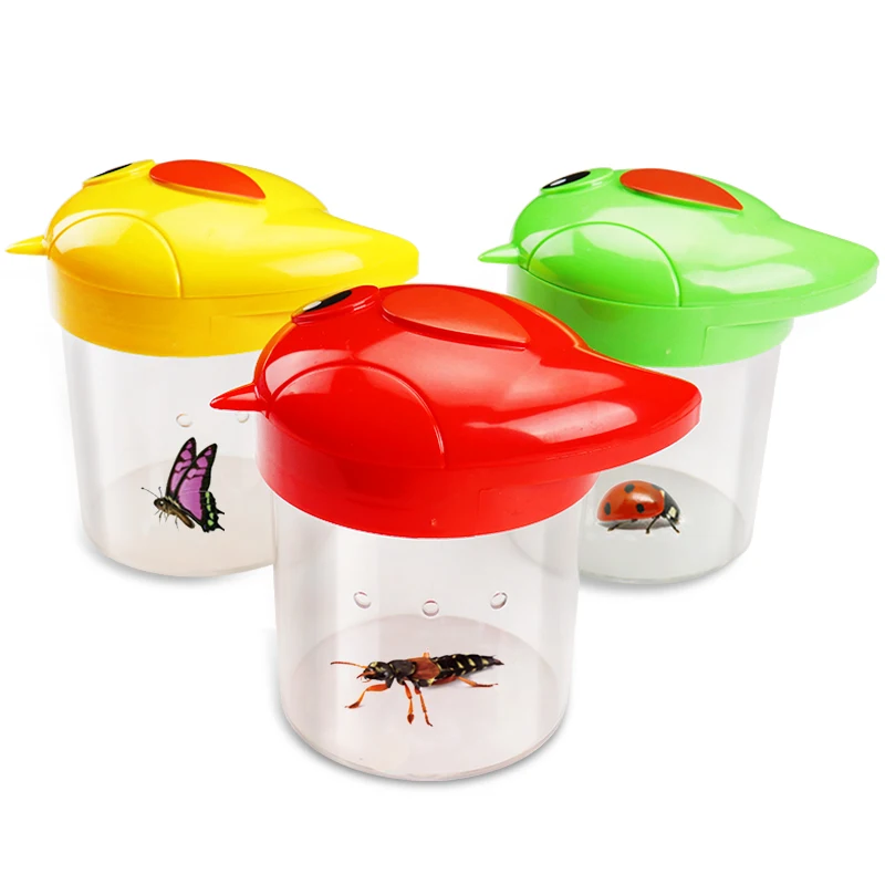 Experiment Kit Insect Bugs Observation Viewer Box Stem Educational ...