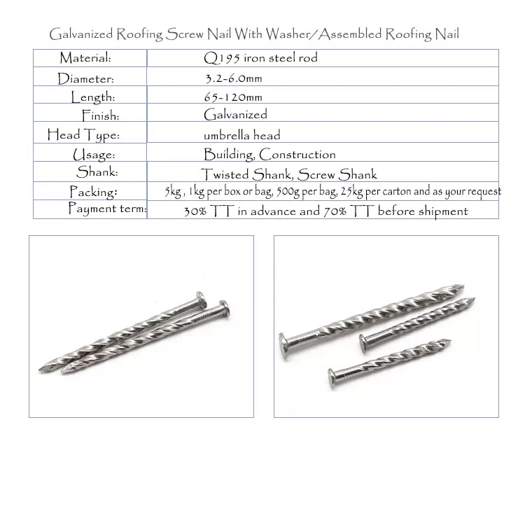 Ibr Nail Twisted Shank Galvanized Finished Assembled Roofing Nails