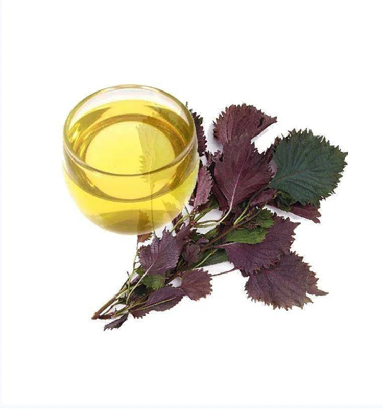 具有竞争力的价格紫苏油散装/紫苏精油用于皮肤护理 - buy 具有竞争力