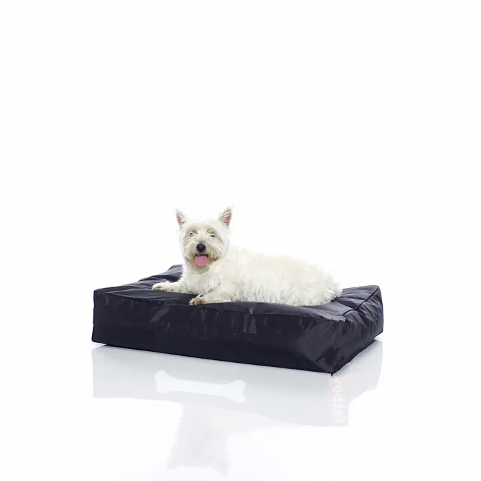 colorful dog beds