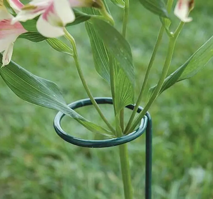 Garden Metal Plant Support Sticks Set With 7 Flower Stake 15.8 Inch 20