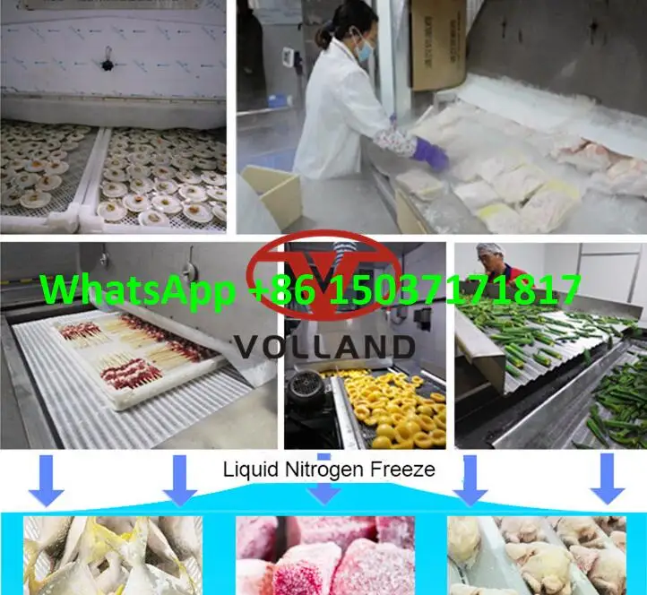 liquid nitrogen freezer.jpg