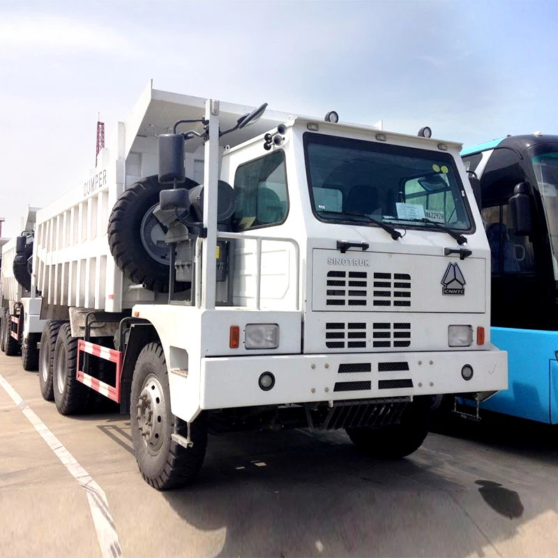 5.4.1 Cargo Truck_HOWO_3.jpg