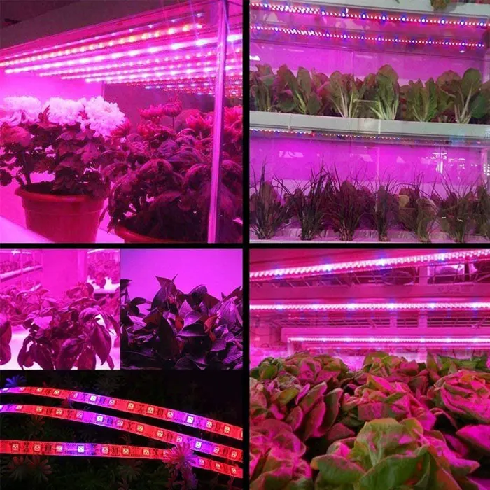 2020 best LED grow light fixture plant grow light for indoor plants growth light 2835 5050 outdoor plant grow led lighting