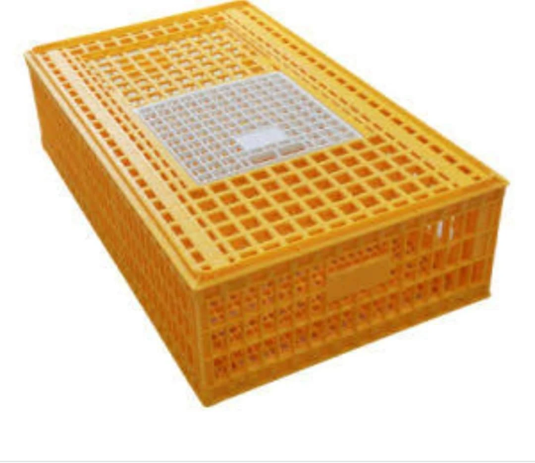 Chick Quail Transport Crate Game Bird Transport Crate Plastic Poultry