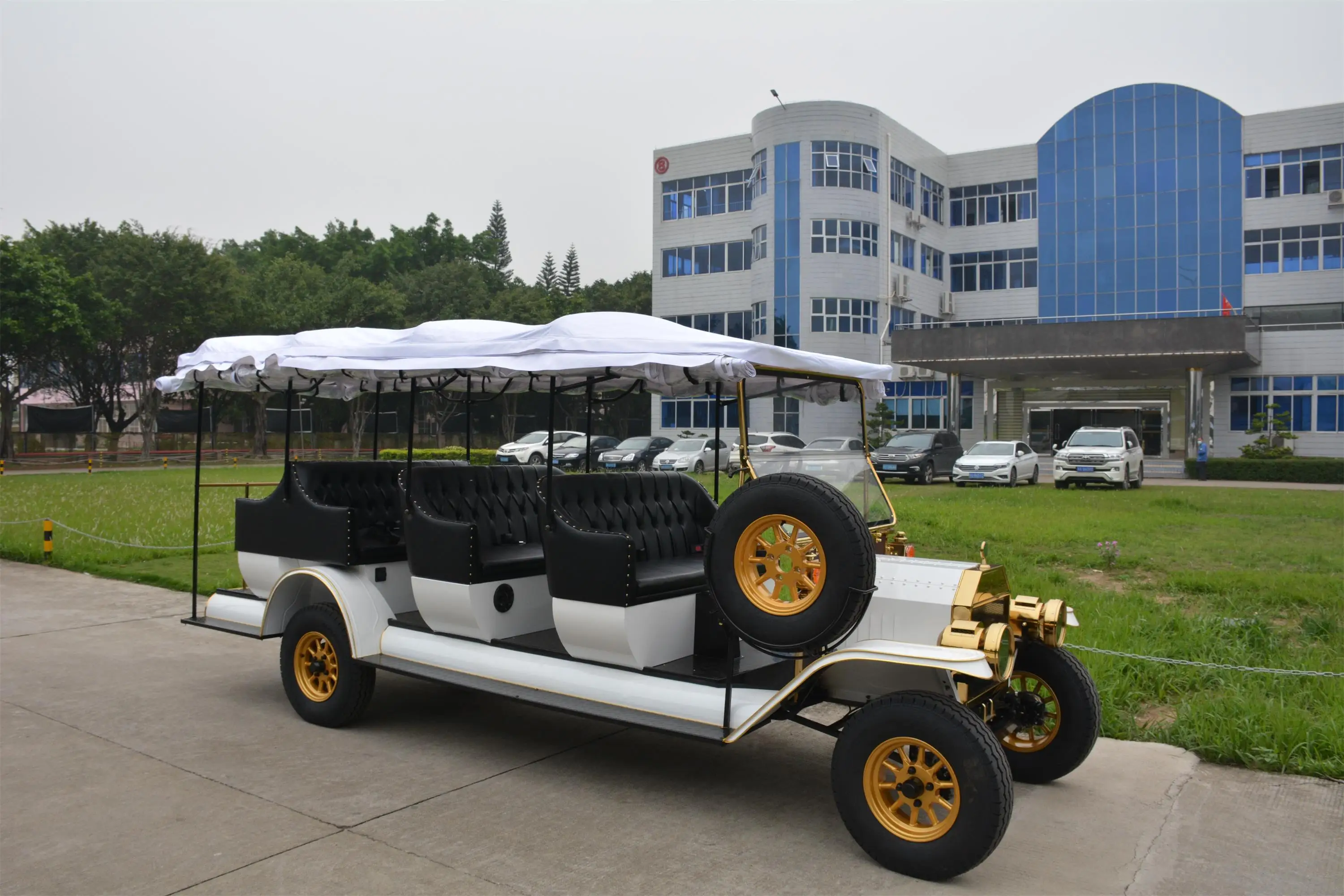 Rariro 9-12 seats electric metal body vintage buggy cart for Club, Golf Course, Hotel, School