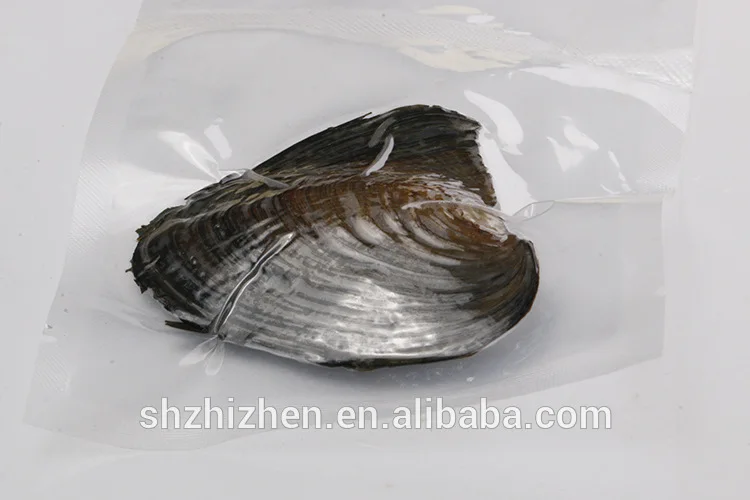 Bulk Wholesale Freshwater Wish Oyster With Wish Pearl 68mm Natural Round Pearls Buy Oysters