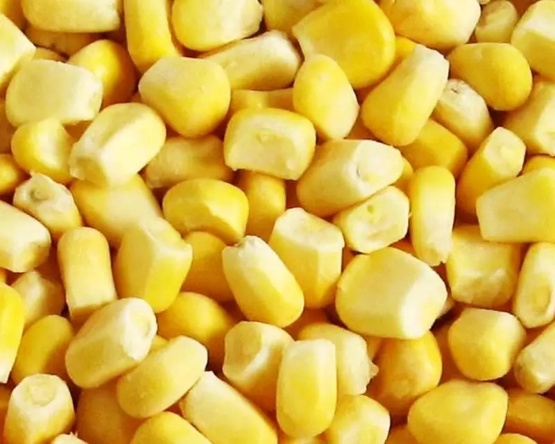 corn 1