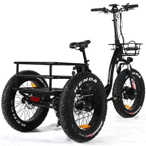 2022 Ristar 3 Wheel 500w Big Power Cargo Tricycle For Sale Adult ...