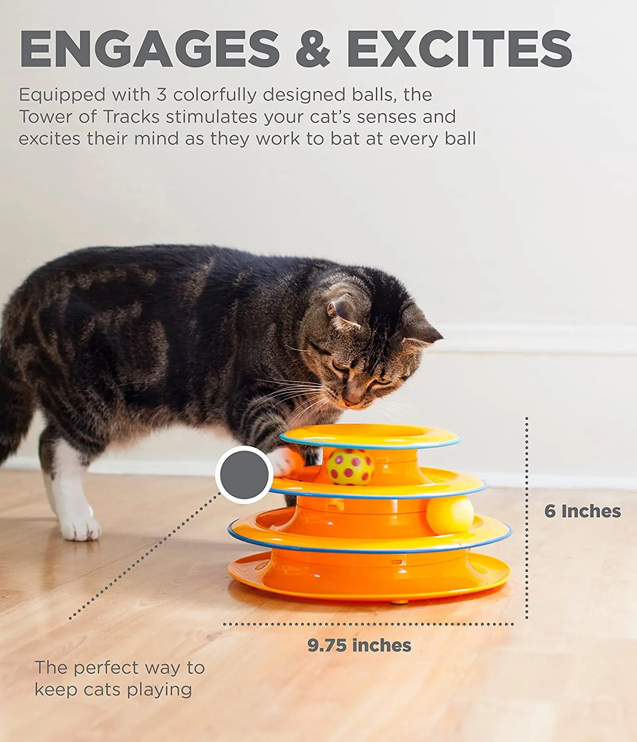 Cat Tracks Cat Toy - Fun Levels of Interactive Play - Circle Track with Moving Balls Satisfies  Hunting