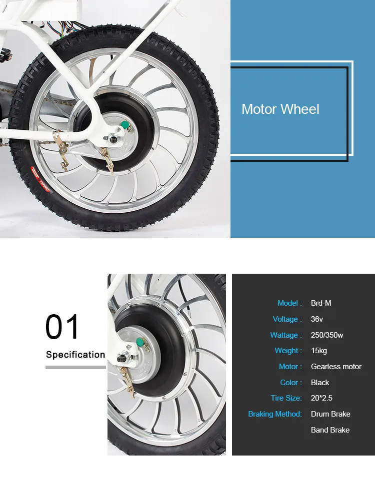 cycle wheel motor