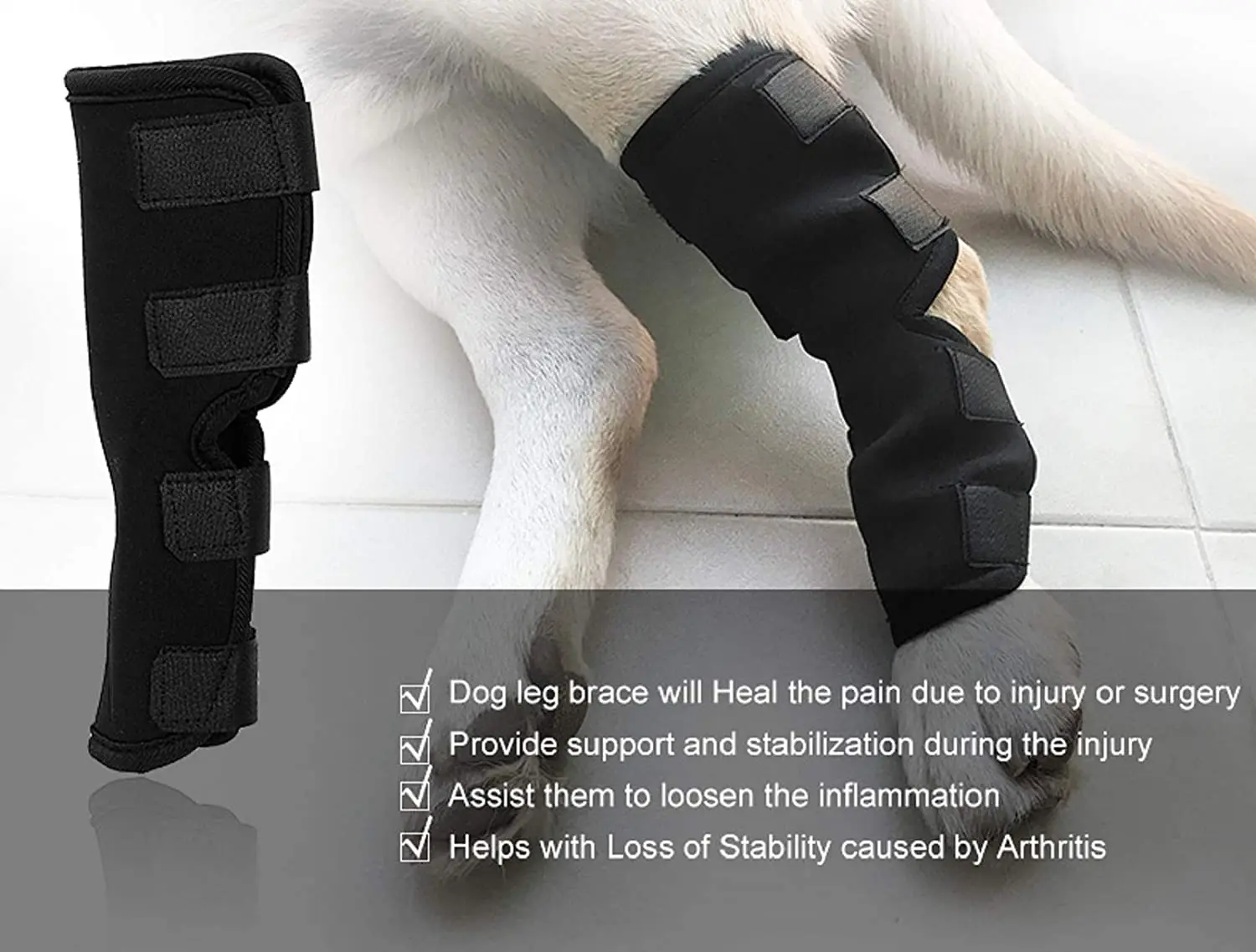 extra supportive dog knee support rear front leg