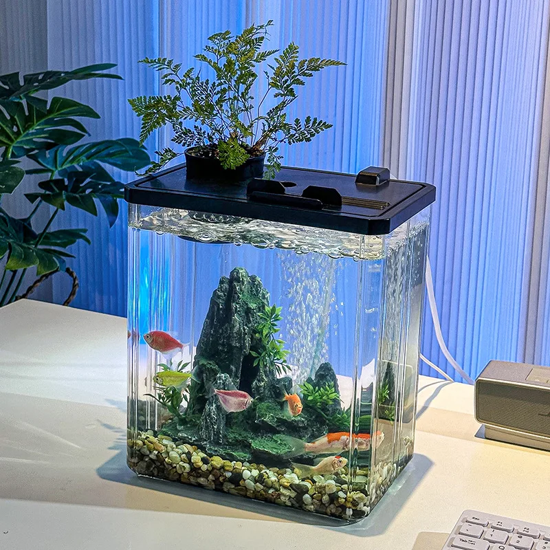 cool fish bowl accessories Koller Products 1-Gallon Plastic Oval Bowl, Temporary Fish Tank for Betta Guppy Tetra Zebrafish Shrimp, Fry, Isolation, Fish Breeding, Classroom Education and Decoration : Pet Supplies fall resistant Aquarium Accessories Acrylic Aquarium Price