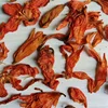 Bai he hua Selling different grades dried flower natural lilium tea lily substitutional tea