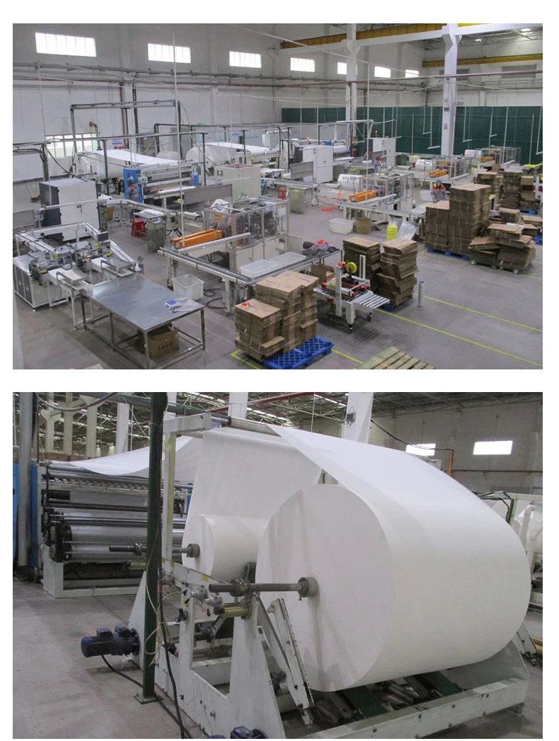 Premium Boxed Facial Tissues Facial Tissue Box Customized Fast Shipping