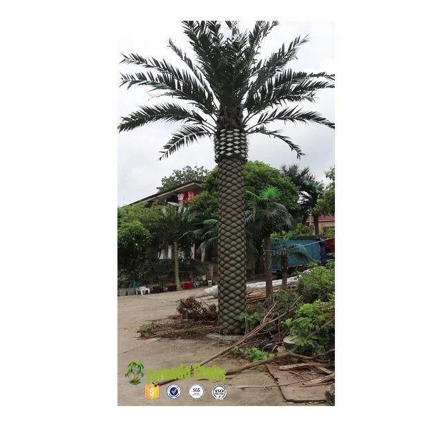 Tornado Crafts Artificial Palm Tree Plants Canada Artificial Date Palm