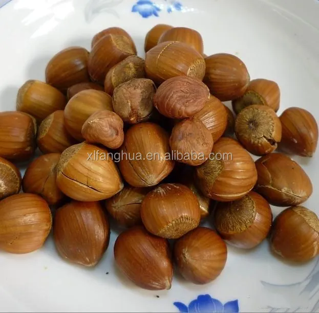 Open Hazelnut Snack Buy Healthy Snacks,Hazelnut,Chinese Snacks