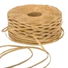 2019 Amazon Hot Selling 210 meters/roll Kraft Raffia Crochet Yarn for knitting hat