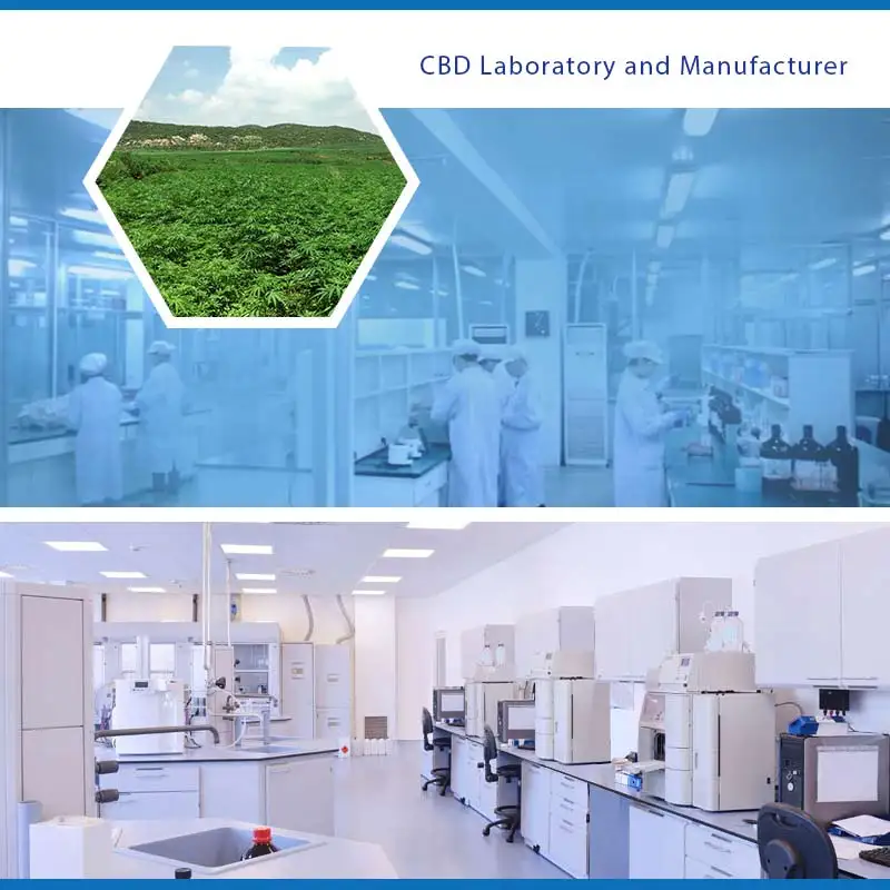 Hot selling 99.99%  high purity cannabidiol cbd isolate cbd powder