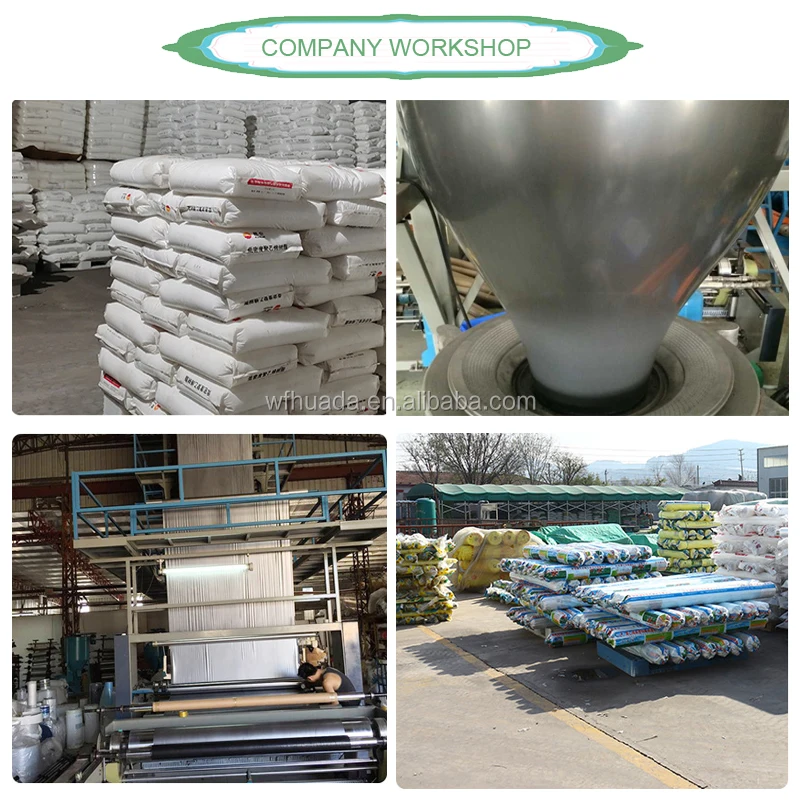 company workshop.jpg