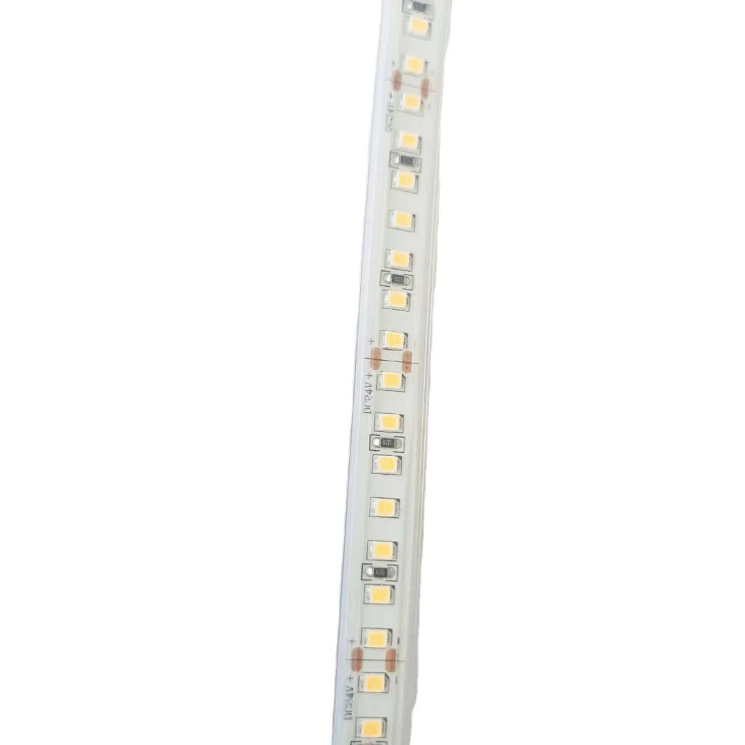 RTS IP65 waterproof led tape lamp 50000hrs DC24V 12w/m led light strips for outdoor lighting rope light led