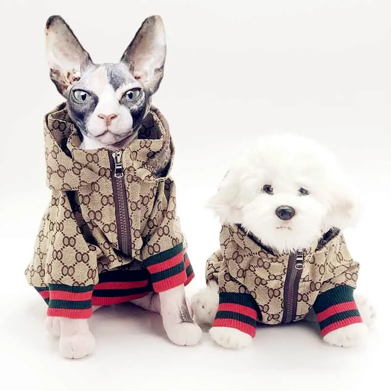 Wholesale dog jumper designer girl pet arket shoes puppy dog clothing Fashion pet apparel accessories dog clothes luxury