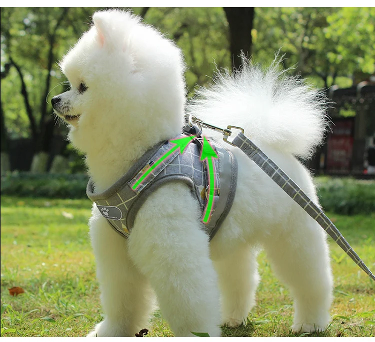 Pet supply hot products Reflective dog walking belt suit