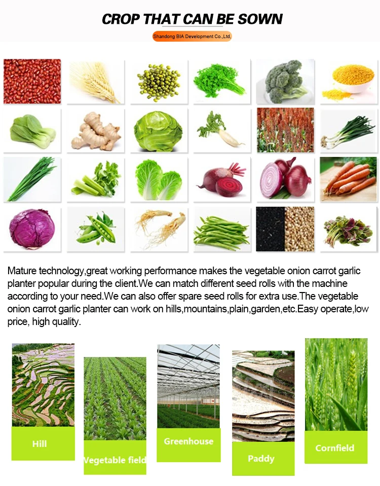 Vegetable Planter Grass Seeder Machine Seeder For Carrots