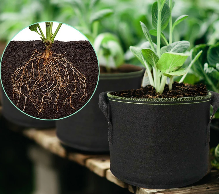Plant Grow Bags (11)