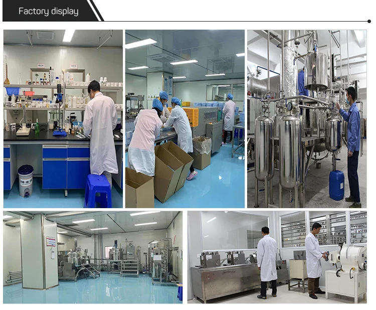 Famous Branded Concentrated Perfume Oils Dubai Perfume Fragrance Oil To