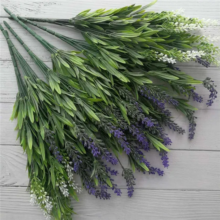 lavender (14).jpg