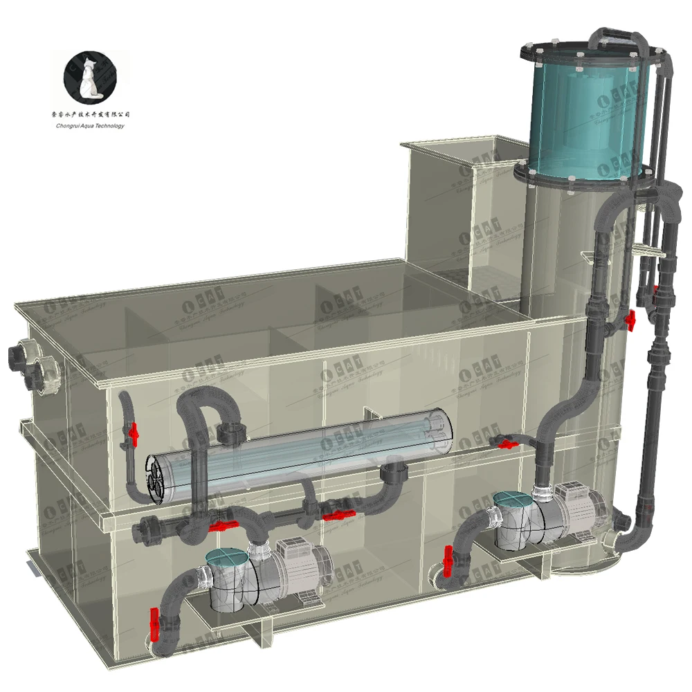Ras Recirculating Aquaculture System Indoor Aquaculture Equipment For