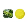 100% Natrual Camptotheca Acuminata Extract Powder Camptothecin 98% 99%