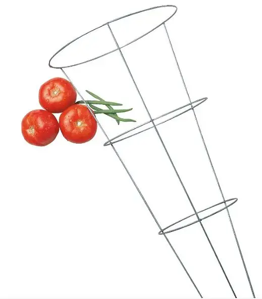 China Made Iron Tomato Cage with Best Quality and Price manufacture