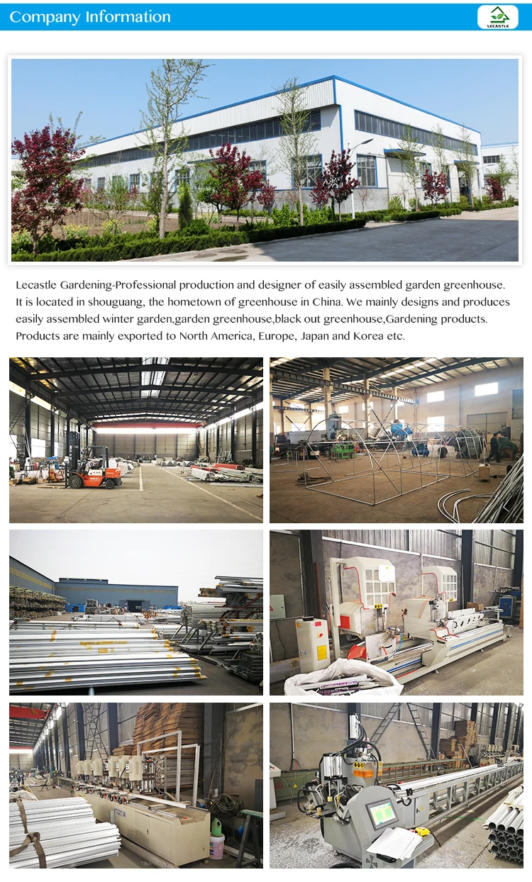 Company Information.jpg