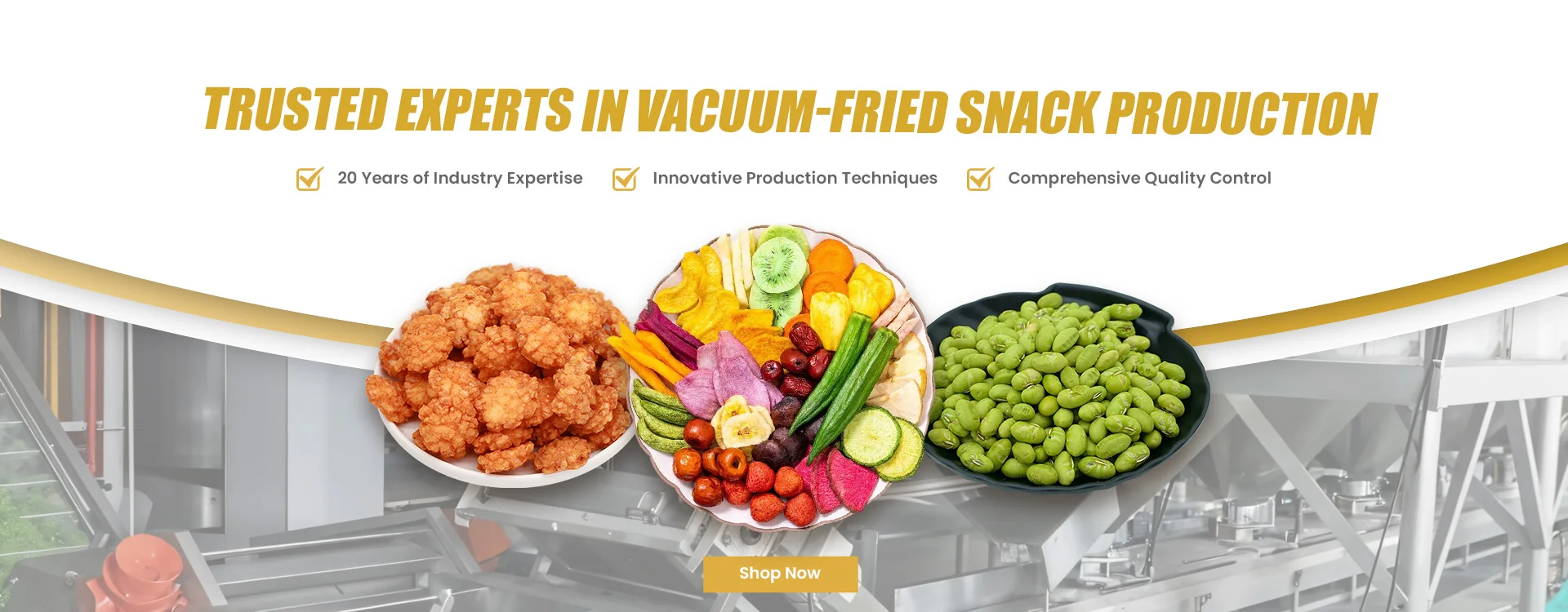 Premium Vacuum Fried Fruit Snacks and Vegetables - Uniform Size, Perfect for Snacking details