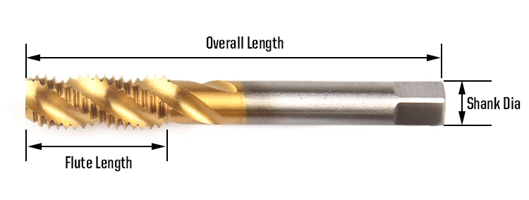 Size.jpg