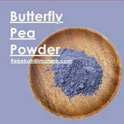 product_04