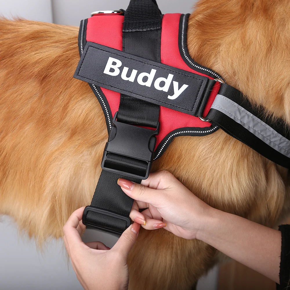 customized dog harness