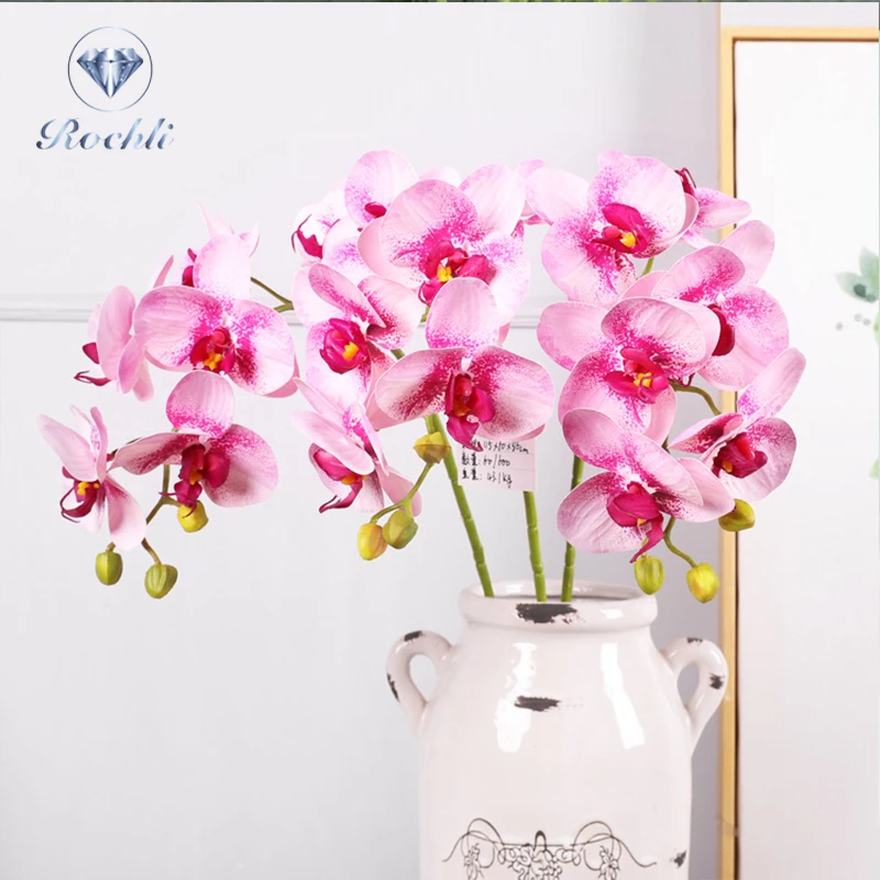 Wholesale Phalaenopsis Orchids Home Decorative Flowers Orchids