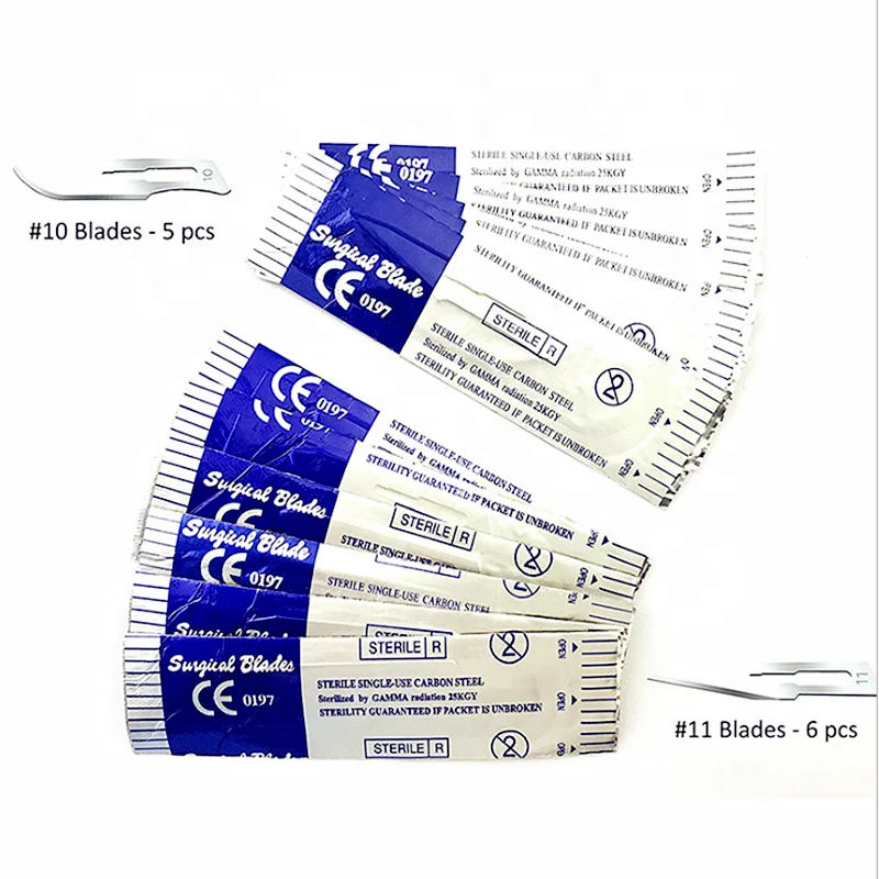 22 Pcs Biological Anatomical Tools Stainless Steel Anatomical Scissors