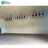 cold storage newton cold storage offer cold storage online brazil whole frozen chicken frozen chicken brazil price