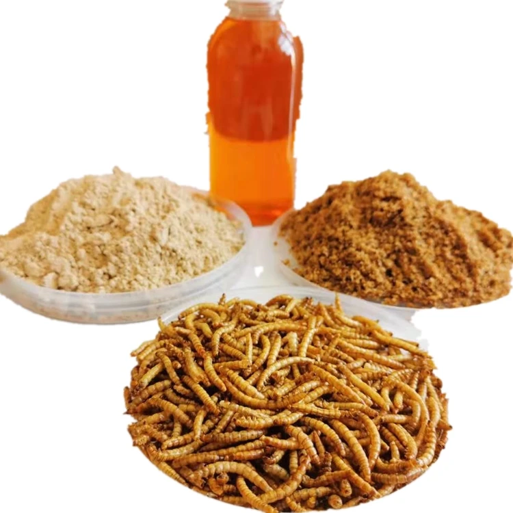 Dried Mealworms For Poultry Feed Insect Feed Fish Use Mealworms Feed