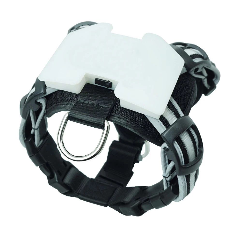 

led usb rechargeable dog harnesses,2 Pieces, Multicolor