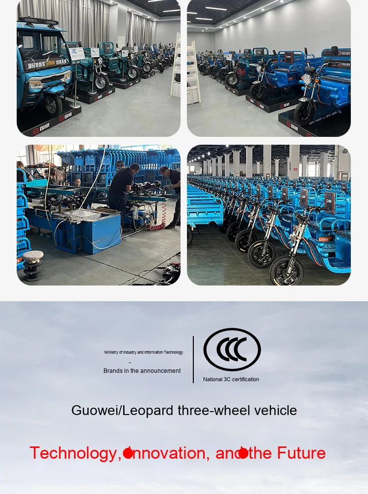 Guowei 1000W Electric Tricycle - Efficient Cargo Transport
