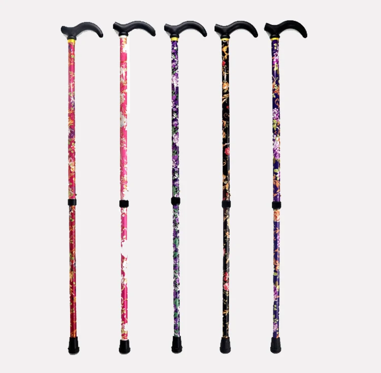 walking stick (1).jpg