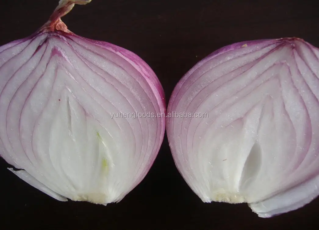 fresh onion  10.jpg