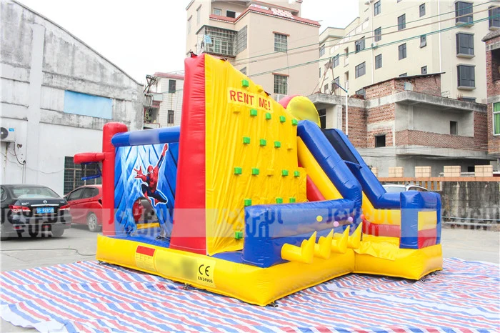 Inflatable Combo